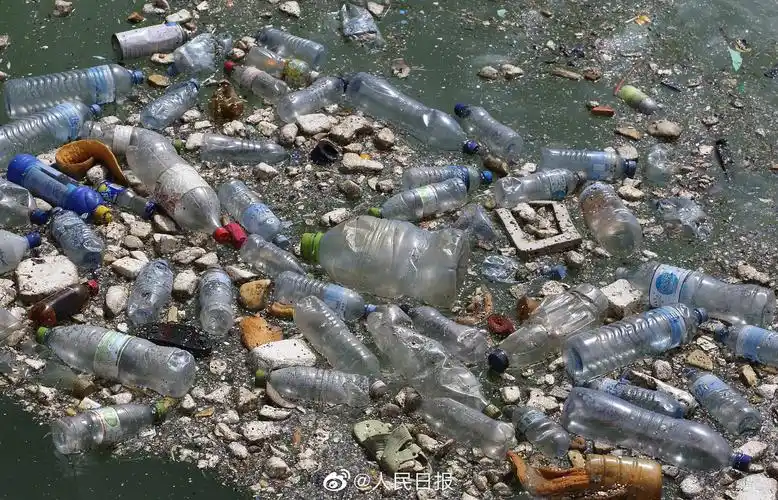 科普:塑料污染多严重?全球人均每周"吃下"一张信用卡_微博