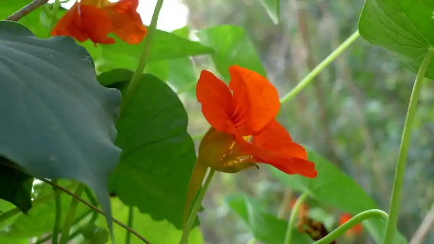 原图欣赏-太平洋摄影部落