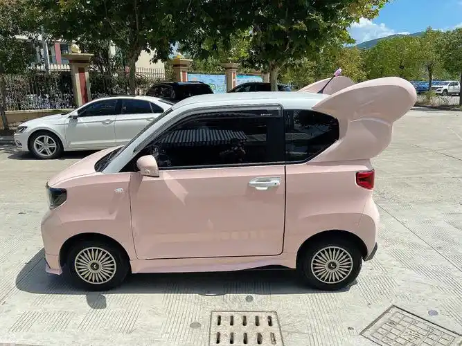 感谢客户回传五菱宏光mini小翅膀仙到起飞