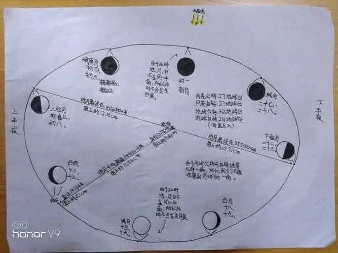 冯泳森同学对月相变化的描述