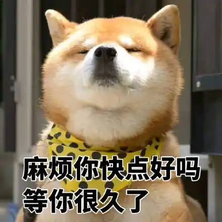 萌宠汪星人麻烦你快点等你好久了呆萌可爱gif动图_动态图_表情包下载