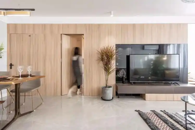 客厅   隐形门   本家设计