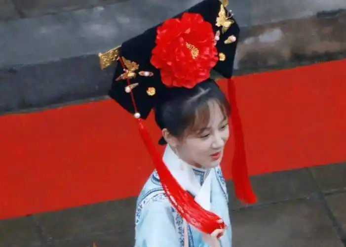 《还珠格格》中最经典的角色就是小燕子和紫薇,而这次杨紫不是扮演