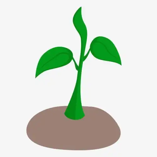 树苗破土而出的简笔画