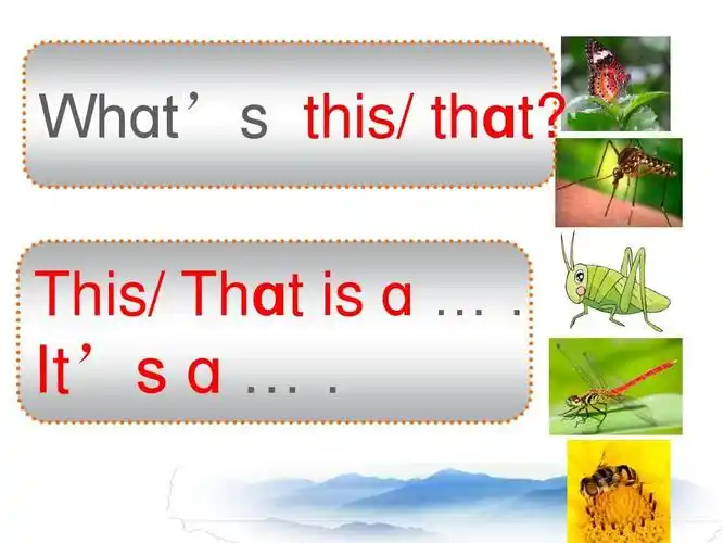 unit four where is my shirt lesson 15 -- this that these those