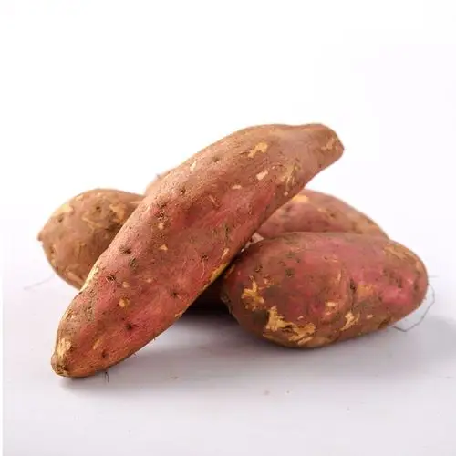 正宗农家自种现挖新鲜小地瓜红心烤香薯香甜水果5斤包邮 板栗红薯