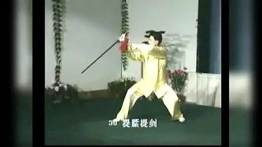 陈思坦42式太极剑 李德印口令(带字幕)