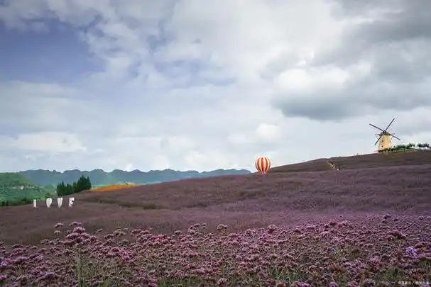 沐浴花海之美——红原县花海景区探秘