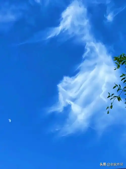 老家齐河的头条主页 - 今日头条(www.toutiao.com)