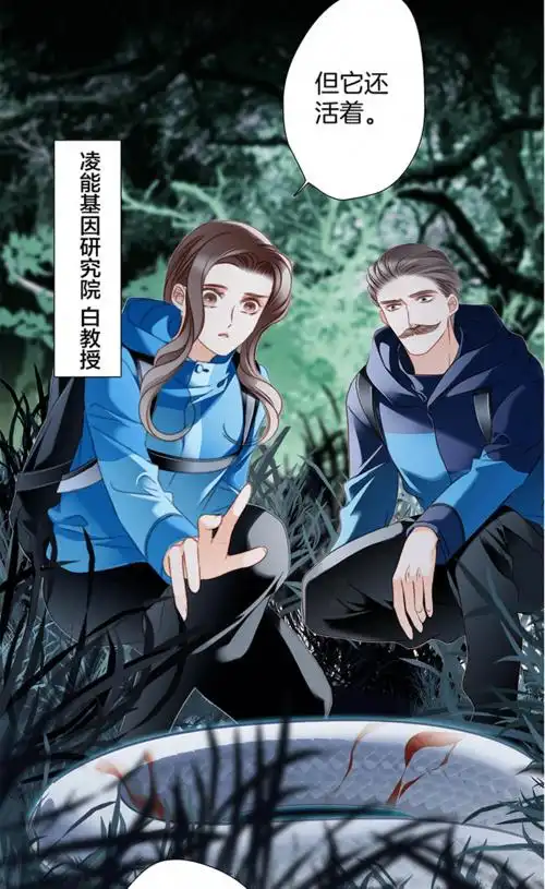 隐世华族丨第八十一话预告身份上