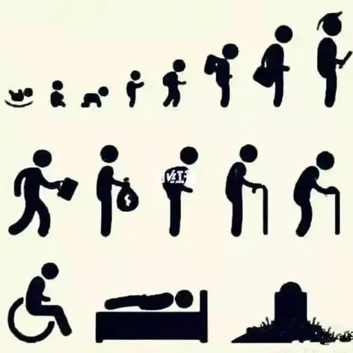 人的一生被安排的明明白白