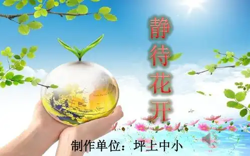 数字故事 静待花开ppt