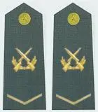 解放军下士军衔肩章(2009—)