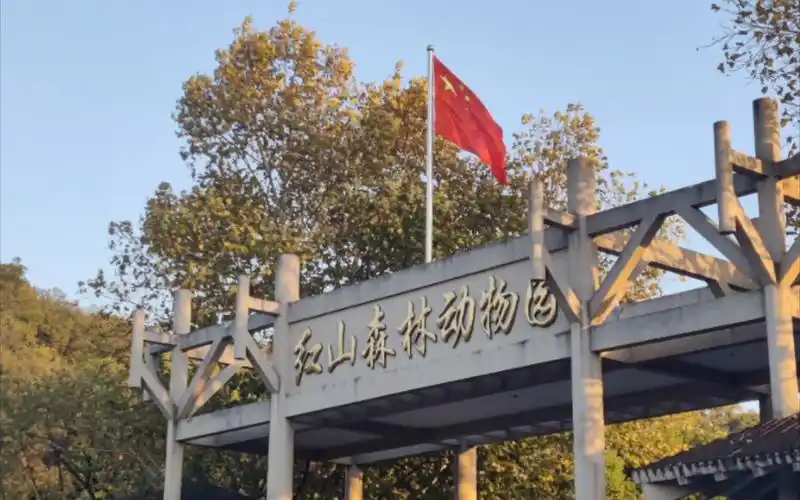 1117:南京红山动物园①