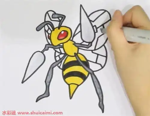 大针蜂怎么画大针蜂简笔画步骤图