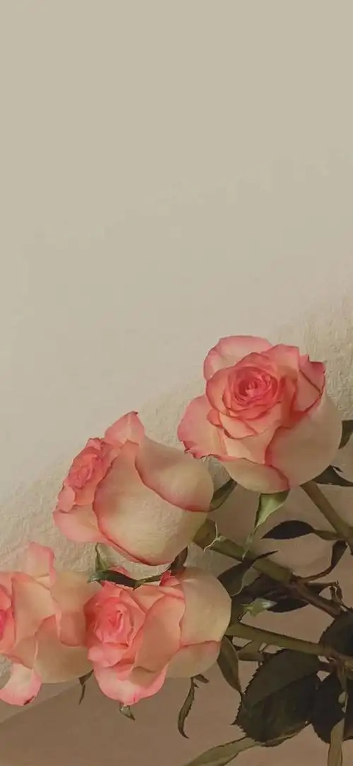 超美ins风小清新壁纸来咯,都给我接住