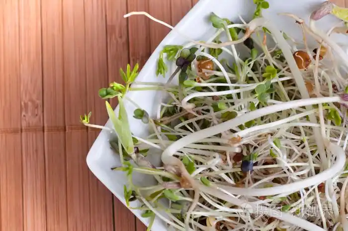 beansprouts在一个碗中