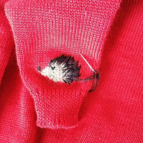 开门红 小刺猬刺绣图案女士棒针套头毛衣