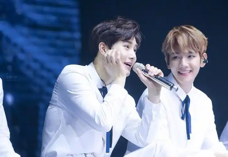 来嗑嗑北极圈cp伯勉吧