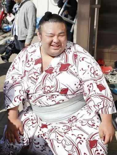 最新报道:继前段时间日本唯一一位本土横纲稀势之里正式宣布退役后