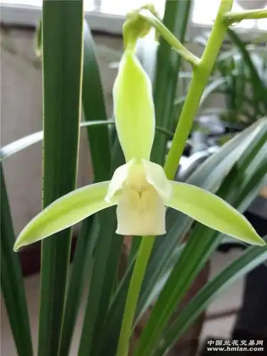 兰花运写到: 我这个是什么