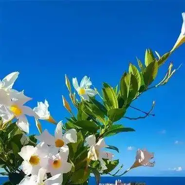 清新唯美风景头像图片 风景头像图片大全 -【爱个性】