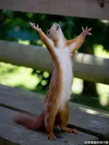 上帝!赐予我力量吧