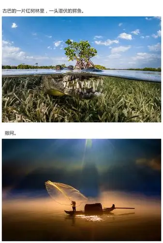 2016年锡耶纳国际摄影奖的获奖作品