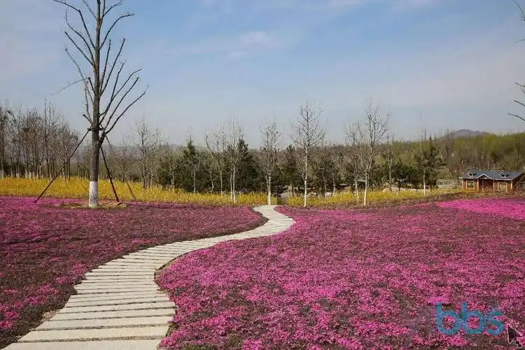 [烟台城事] 【烟台植物园】人间最美四月天,不负春光和时行!典范莱山