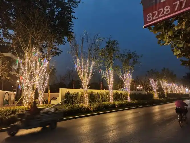 福美健康城树体亮化