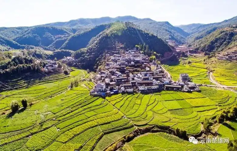 围观丨留住乡愁守护美丽乡村乡愁楚雄评选牟定这些村庄被提名