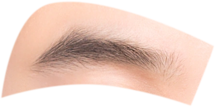 证件照素材五官眉毛素材五官素材1眉毛男7