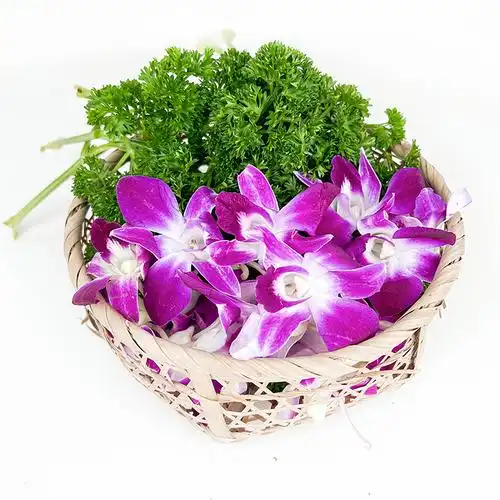 250g兰花新鲜摆盘西餐酒店花草组合荷兰杨兰花其它