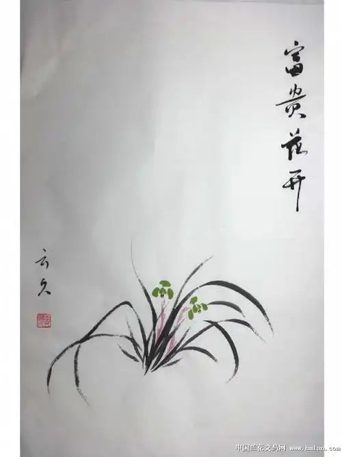 国画兰花写意富贵花开