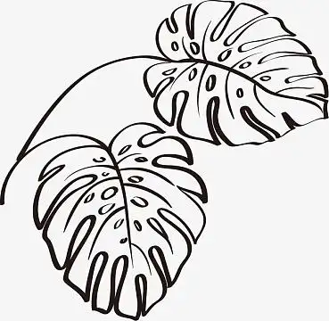 叶子简笔画素材_叶子简笔画图片元素-觅元素