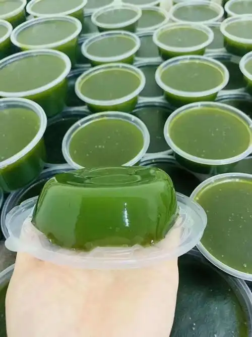 伟博1份5斤新鲜凉粉草,广东绿凉粉,仙人草,甜品绿凉粉原料,黑凉粉 1份