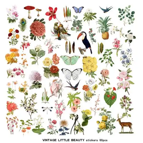 兔子家vintage手帐素材复古尺寸花朵植物图鉴55片贴纸