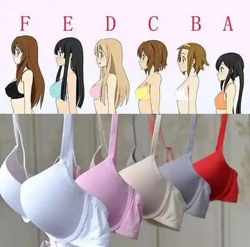 内衣罩杯abcd怎么计算区分大小abcdefg是多大图片