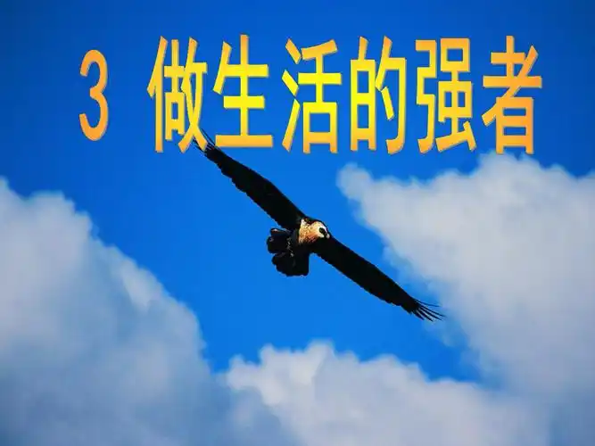 3做生活的强者课件ppt