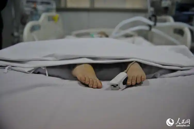 四岁男童患脑瘤脑死亡 捐出全身器官 (1/6)