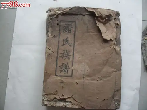 民国谢氏族谱1本