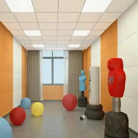 (心理咨询室) (宣泄室)