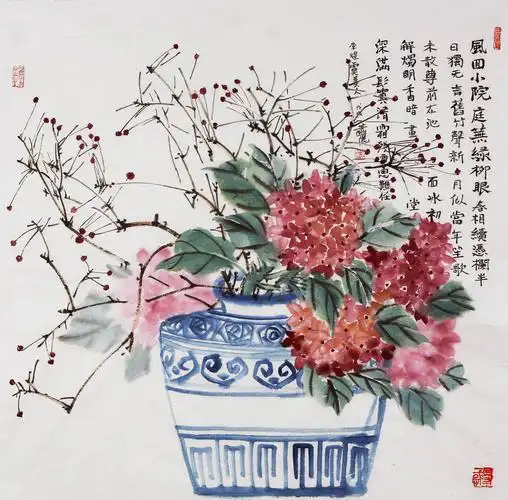 小院绣球花2