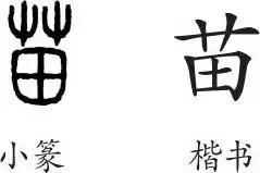 苗字义苗字的字形演变小篆隶书楷书写法苗