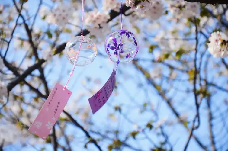 风中舞动的风铃伴着漫天飞舞的樱花来一场爱的邂逅