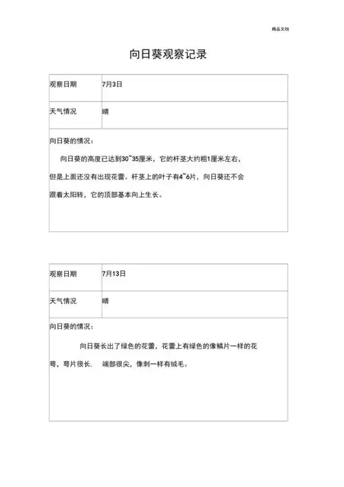 向日葵观察记录