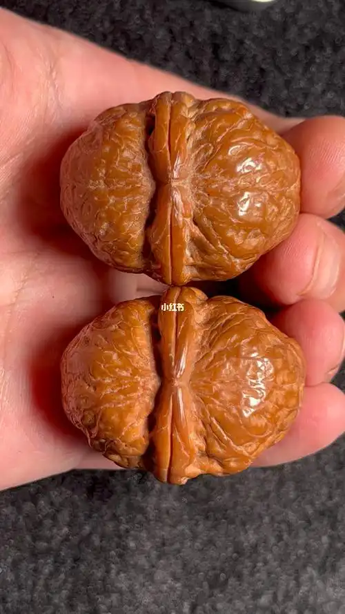 云南铁核桃金钟文玩核桃手把件