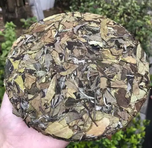 买三送一2017正宗福鼎白茶白茶饼老白茶饼寿眉饼300g