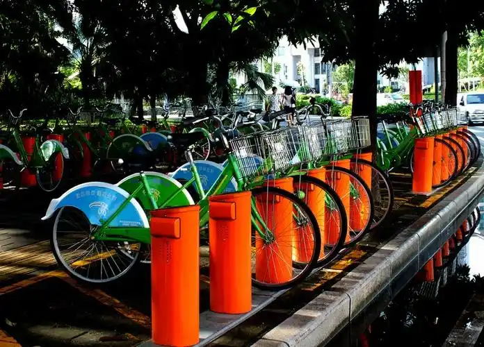 八月扫街绿色出行低碳生活