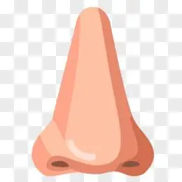 手绘卡通可爱猪鼻子装饰素材pngpsd卡通拟人鼻子矢量元素pngai可爱